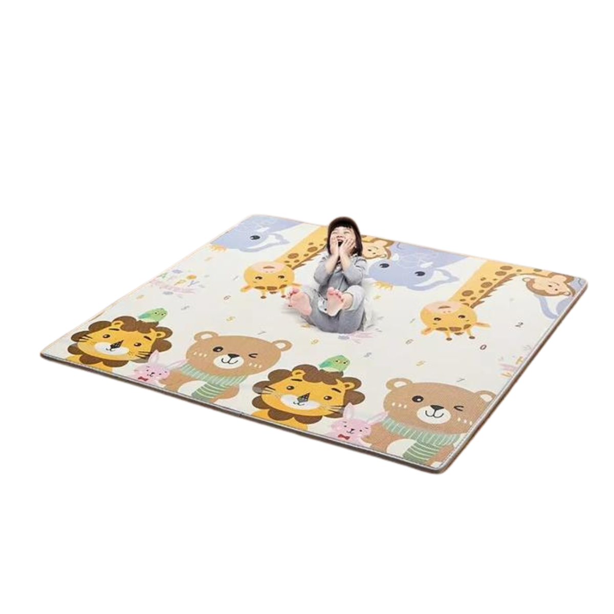 Non-Toxic Soft Play Mat